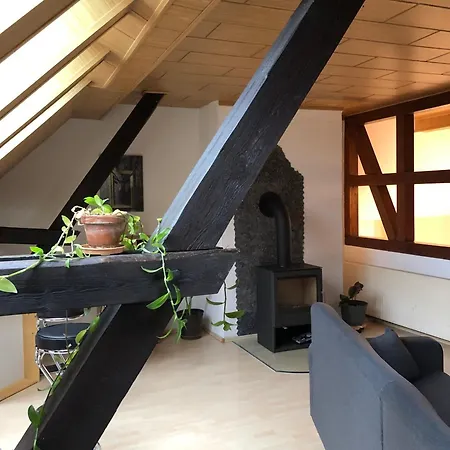 Lissy's Alte Schmiede Holiday home *